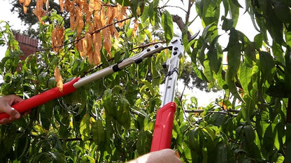 Corona Tools X Series Pro Bypass Lopper – 2-1/4″ Cutting Capacity Heavy-Duty Branch Cutter for Tree & Shrub Trimming