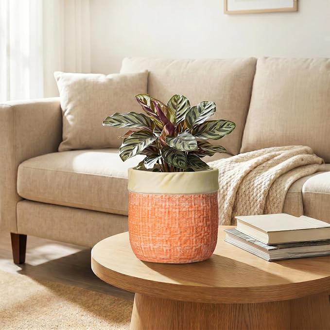 Ceramic Pots for Plants, 6 Inch Planter, Round Plant Pot, Orange | Boho Plant Pot for Indoor Plants, Decorative Flower Pots with Drainage Hole, Bedroom Decor, Housewarming Gifts New Home