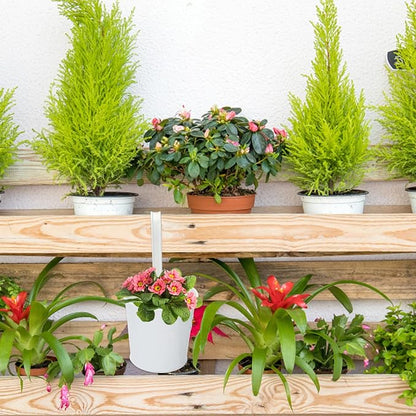 KINGLAKE Flower Pots,10 Pcs Metal Iron Hanging Flower Plant Pots Balcony Garden Plant Planter Baskets Fence Bucket Pot 4'' Flower Holders with Detachable Hook White