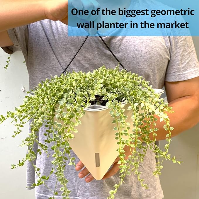LaLaGreen Wall Planters for Indoor Plants (12in, 2 Pack) White Planter | Large Self Watering Geometric Hanging Flower Vase Vessel with Metal Hanger, Modern Stylish Wall Mounted Succulent Pot Decor