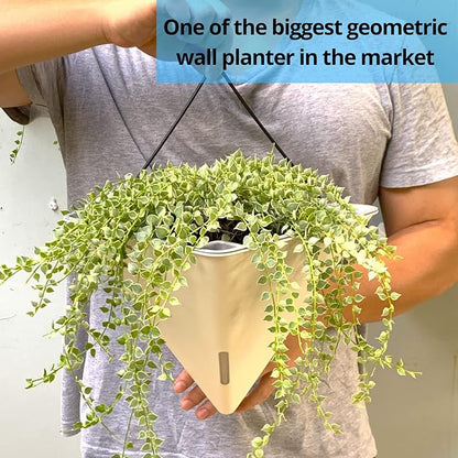 LaLaGreen Wall Planters for Indoor Plants (12in, 2 Pack) White Planter | Large Self Watering Geometric Hanging Flower Vase Vessel with Metal Hanger, Modern Stylish Wall Mounted Succulent Pot Decor
