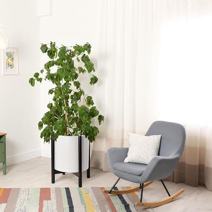 D'vine Dev Plastic Pot with Ebony Wood Stand, White, 16 in, 55-C-Z-1 | Mid-Century Inspired Design, Elevated Plant Display, Clean Lines, Sturdy Support, Modern Space-Saving Style