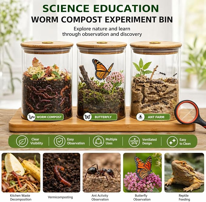 Science Education Worm Compost Experiment bin, Waste Decomposition into composting kit, ant Farming Plant