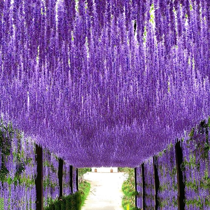 Artificial Wisteria Hanging Flowers Fake Wisteria Flower Garland Silk Vines Rattan Decor for Home Wedding Arch Wall Garden Greenery Bedroom Outdoor Office Party Decoration (36, Light Purple)