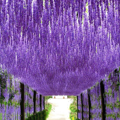 Artificial Wisteria Hanging Flowers Fake Wisteria Flower Garland Silk Vines Rattan Decor for Home Wedding Arch Wall Garden Greenery Bedroom Outdoor Office Party Decoration (36, Light Purple)