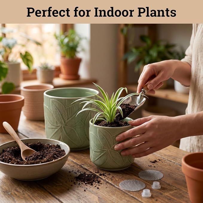 Ceramic Pots for Plants Set of 3, 6, 5, 4 Inch Diameter with Drainage Holes | Thick Durable Ceramic Pots, Plant Pots with Drainage Holes, Mesh Pads, Drain Plugs & Anti-Scratch Pads, Decorative Flower Pot