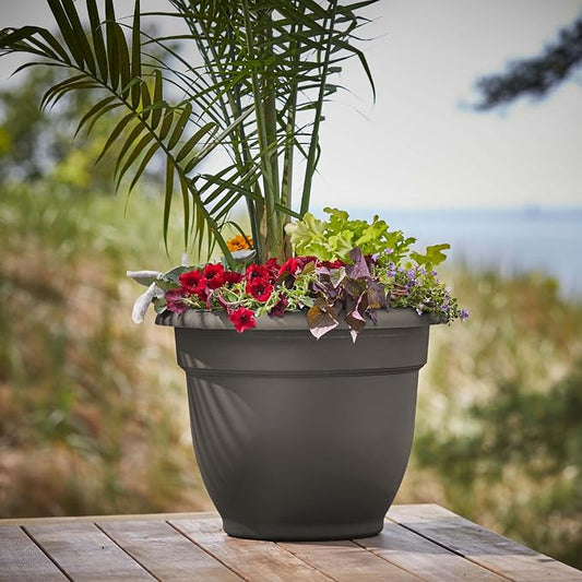 Bloem Ariana 20" Plastic Self-Watering Planter, Peppercorn, 2-Pack | Self-watering disk at the bottom of each pot that acts as a water wick and reservoir for optimal plant health