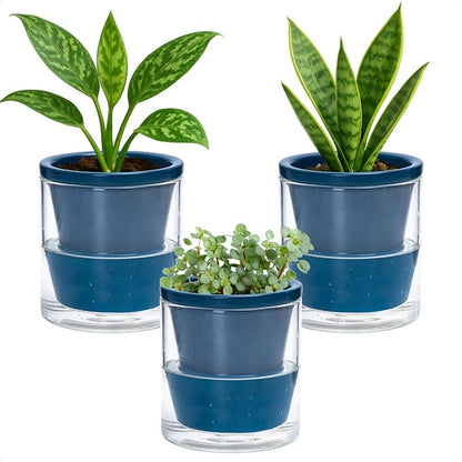 D'vine Dev 4 Inch Design Self Watering Planter for Indoor Plants, Blue Terracotta Pot with Cylinder Glass Cup, Set of 3, 37-Z-A-4-T