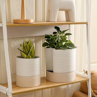 Nihow Ceramic Self Watering Plant Pot for Indoor Plants, 8 Inch,White | Planter with Cotton Wick, Drainage Hole & Water Storage Plus, Cylinder Round Flower Pot, For Succulent/Herbs/Violets