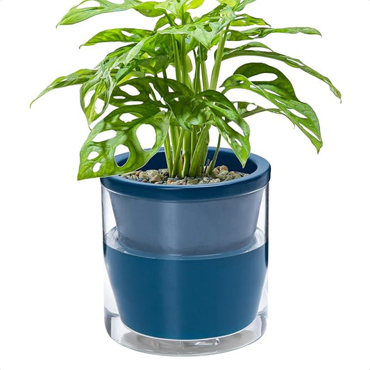 D'vine Dev 6 Inch Design Self Watering Planter for Indoor Plants, Blue Terracotta Pot with Cylinder Glass Cup, 37-X-B-4