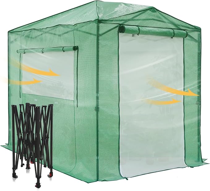 EAGLE PEAK 8x6 Portable Walk in Greenhouse, Pop Up Indoor Outdoor Greenhouse, Green House Kit with Zippered Roll-Up Doors and Windows + Mesh Lined Door, PE Cover, Clear/Green
