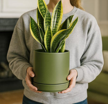 D'vine Dev 6.5 Inch Ceramic Planter Pot, Olive, 94-O-C-J | Modern Cylinder Design, Drainage Hole & Saucer Included, Stable Structure, Elegant Home Accent