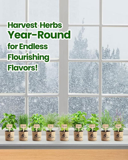 Gift for Women, Mom, Her – 9 Herb Indoor Window Garden Kit | Complete Herb Seeds Starter Set with Pots, Soil, Tools & Markers | Heirloom Herbs | Birthday, Housewarming, New Home, Mother's Day