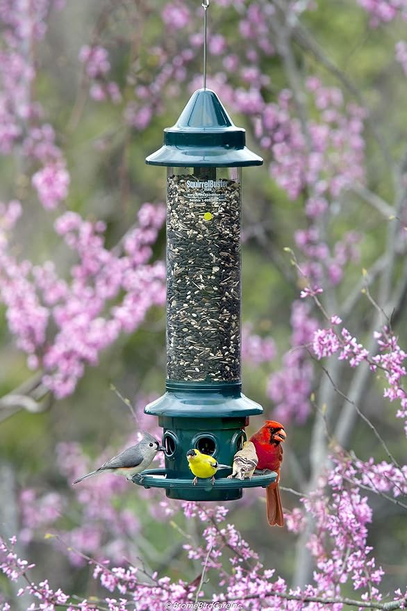 Squirrel Buster Plus Squirrel-proof Bird Feeder w/Cardinal Ring and 6 Feeding Ports, 5.1-pound Seed Capacity, Adjustable, Pole-mountable (POLE ADAPTOR SOLD SEPARATELY), Green | Squirrel-Proof Weight-Activated Shroud, Cardinal Ring, 6 Ports, 5.1 Lb Capa...