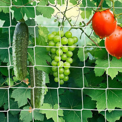7X 30 Ft Nylon Trellis Netting, 6×6 Heavy Duty Trellis Mesh Garden Netting for Climbing Plants, Use for Tomatoes, Cucumbers, Peas, Grape Racks