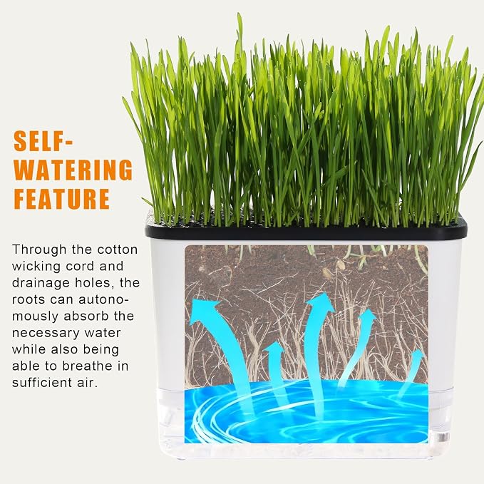Self-Watering Cat Grass Planter (no Seeds Included) for Indoor Cats | Anti-Digging Design, Built-in Drainage Holes, Suitable for Various Soils, Wheat Grass Growing Pot for Cats Rabbits Pets