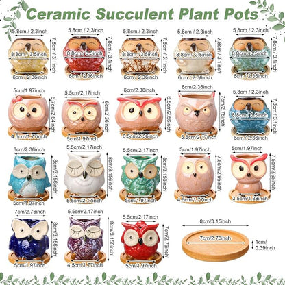 Cindeer 18 Pcs 2.5 Inch Owl Ceramic Succulent Planter Pots Mini Small Ceramic Pots with Drainage Hole and Bamboo Tray for Succulents Glaze Cactus for Home Garden Office Desk Decoration Gift Ideas