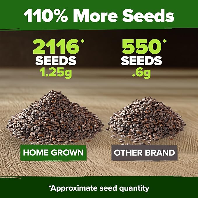 HOME GROWN Non GMO Catnip Seeds (Bulk Pack) Heirloom Herb 2,116 Seeds - Indoor or Outdoor Seed - High-Germination Cat Nip - Cat Safe Plants (Nepeta cataria)