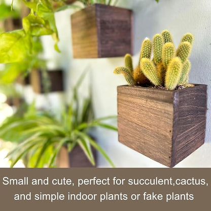 LaLaGreen Wall Planter for Indoor Plants (4x4, 4 Pack) Hanging Wooden Boxes | Square Wood Flower Pots, Wall Mounted Window Box Plant Holder Living Room Bedroom Kitchen Vertical Garden Home Decor