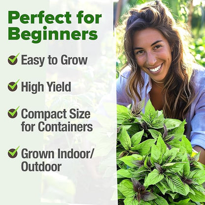 HOME GROWN Thai Basil Seeds Pack - 438 High Germination Heirloom Herb Seeds for Planting,Ideal for Growing Fresh Basil Planting Indoor or Outdoor(Ocimum basilicum VAR.thyrsiflora)