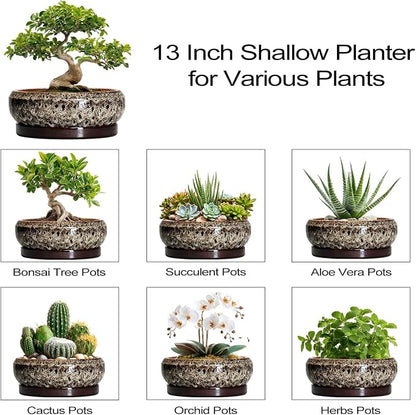 Bonsai Planter 13 Inch - Large Ceramic Succulent Planters, Shallow Plant Pot Indoor with Drainage Hole and Tray, Bonsai Pot, Round Bowl Planter Outdoor, House Decor, Housewarming Gift, White