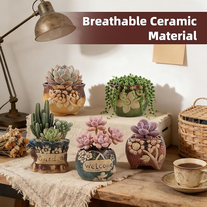 Succulent Ceramic Garden Pots Small Plant Planter Container with Drainage Set of 5 for Home Office Decor