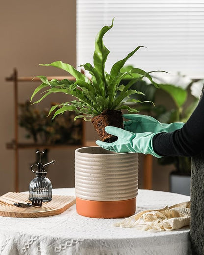 8 Inch Ceramic Self Watering Planter with Drainage Hole, Beige | Indoor Plant Pot with Water Storage Plus - for African Violet, Herbs & Pothos - Home & Office Decor, Cylinder Round