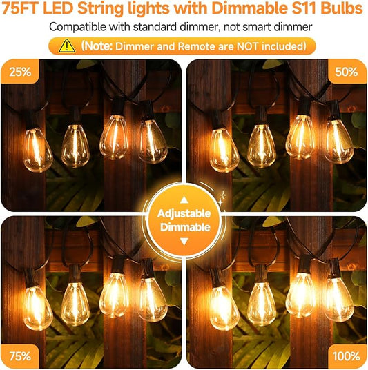 Larkvue 75FT LED Outdoor String Lights S11 Dimmable Patio Light, with 22+2 Waterproof Shatterproof Edison 2700K Bulbs for Outside Backyard Deck, Black