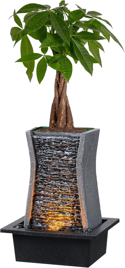 GOSSI Tabletop Water Fountain with LED Lights, Indoor Waterfall Fountain for Home Office Bedroom Decor, Includes Plastic Pots for Plant Growing, Relaxation Desk Accessory (24285)