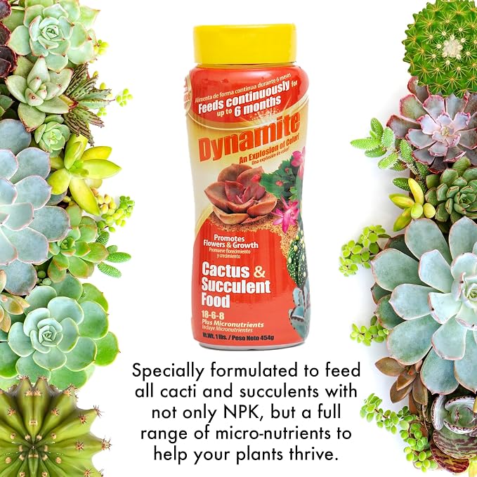 Dynamite Cactus & Succulent Food 18-6-8 - Plant Food for Indoor/Outdoor Cacti & Succulents - Continuous Feeding Up to 6 Months - Promotes Growth & Flowering - Includes Micronutrients