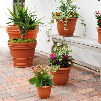 Bloem Ariana 8" Plastic Self-Watering Planter, Terra Cotta, 4-Pack | Self-watering disk at the bottom of each pot that acts as a water wick and reservoir for optimal plant health