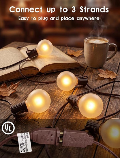 SUNSGNE 25Ft Outdoor Edison String Lights G40 Globe String Lights with 27 Frosted White Bulbs, Waterproof Connectable Hanging String Light for Christmas Patio House Backyard Balcony Party, Brown Wire