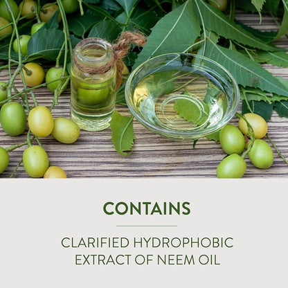 Garden Safe Neem Oil, 10 Fl Oz, Case Pack of 6