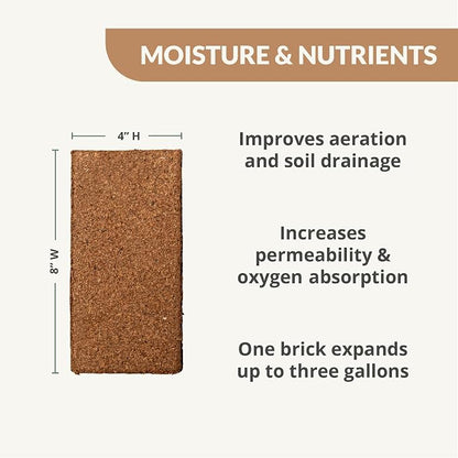 Coco Coir Brick (650gms) + Worm Bliss (1 Qt) + Char Bliss (1 Qt) - Organic Coco Coir for Plants - Worm Castings & Biochar for Plants - Soil Amendment & Organic Fertilizer Bundle - Potting Soil Mix
