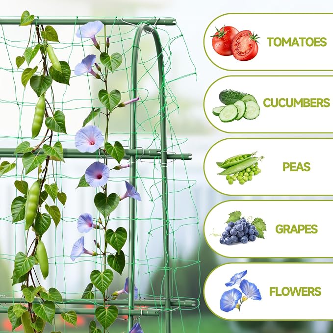 HIRALIY Cucumber Trellis for Climbing Plants Outdoor, 5.25ft Tall Heavy Duty Metal Garden Arch Trellis, Rustproof Plant Support Tunnel for Tomato, Grape, Bean, Raised Bed and Vegetable Gardens, Green