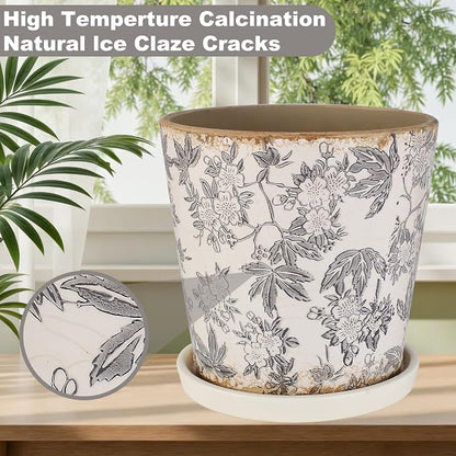 Ceramic Flower Pots For Indoor Plant, 5.5 Inch Small Ice Crack Plant Pots With Drainage Hole & Saucer, Decorative Vintage Planters For Succulent Herb Cactus Mint Basil, Garden Pot For Home Decor