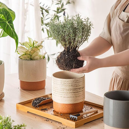 6 Inch Ceramic Self Watering Planter with Drainage Hole, Brush | Indoor Plant Pot with Water Storage Plus - for African Violet, Herbs & Pothos - Home & Office Decor, Cylinder Round