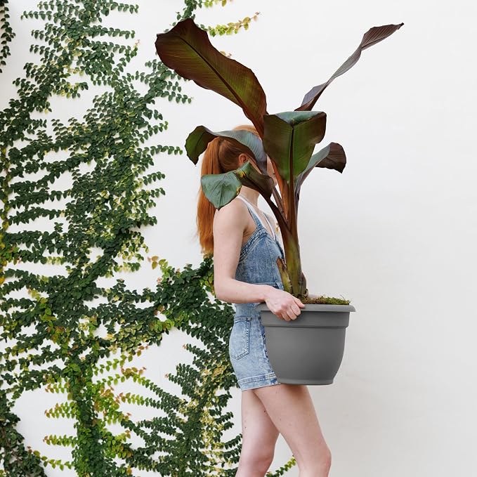 Bloem Ariana 12" Plastic Self-Watering Planter, Charcoal, 2-Pack | Self-watering disk at the bottom of each pot that acts as a water wick and reservoir for optimal plant health