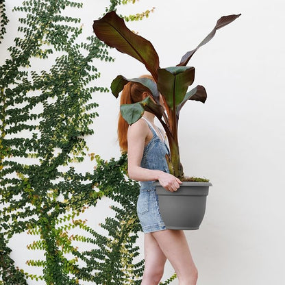 Bloem Ariana 12" Plastic Self-Watering Planter, Charcoal, 2-Pack | Self-watering disk at the bottom of each pot that acts as a water wick and reservoir for optimal plant health
