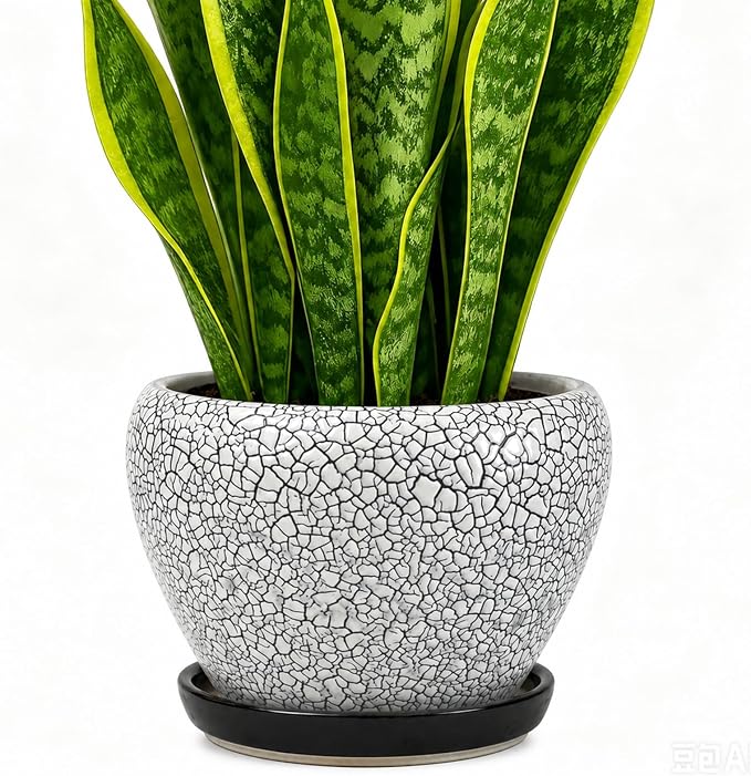 Deep Dream 8 Inch Plant Pots- Ceramic Pots for Plants with Drainage Hole and Saucer, Large Planter Pot for Indoor Plants Outdoor Decor, Wood Crack Black
