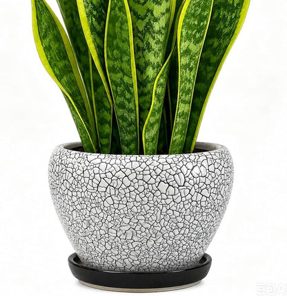 Deep Dream 8 Inch Plant Pots- Ceramic Pots for Plants with Drainage Hole and Saucer, Large Planter Pot for Indoor Plants Outdoor Decor, Wood Crack Black