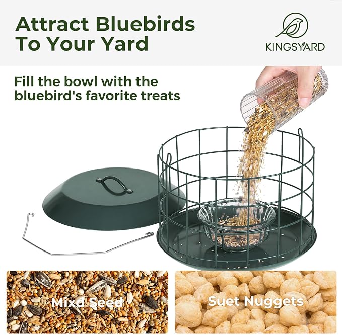 Kingsyard Bluebird Feeders for Outdoors Hanging, All Metal, Cage Bird Feeder with Tray, Squirrel Proof & Weatherproof, Easy to Refill & Clean (Green)