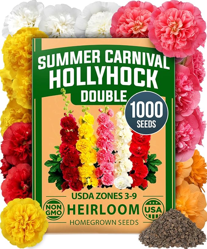 HOME GROWN Hollyhock Summer Carnival Mix Flower Seeds – Alcea Rosea, Premium Annual Flower Seeds, 1000 Seeds for Planting Flowers, High-Germination Flower Seed Bulk Pack