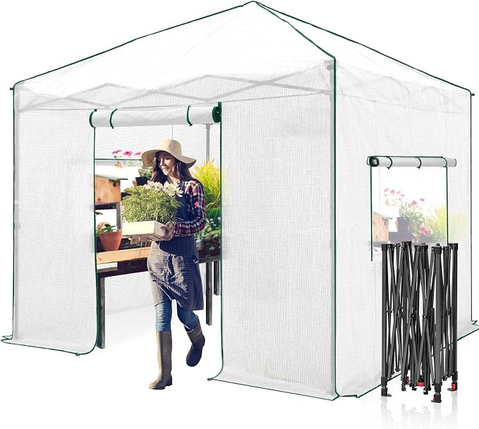 EAGLE PEAK 10x10 Portable Walk in Greenhouse, Pop Up Indoor Outdoor Greenhouse, Green House Kit with Zippered Roll-Up Doors and Windows, PE Cover, Clear/White