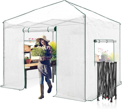 EAGLE PEAK 10x10 Portable Walk in Greenhouse, Pop Up Indoor Outdoor Greenhouse, Green House Kit with Zippered Roll-Up Doors and Windows, PE Cover, Clear/White
