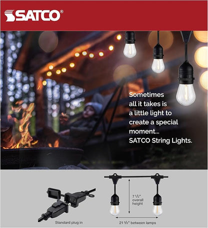 Satco S8037 LED Indoor/Outdoor String Lights, Black, S14 Bulbs, 24 Feet (Pack of 2)
