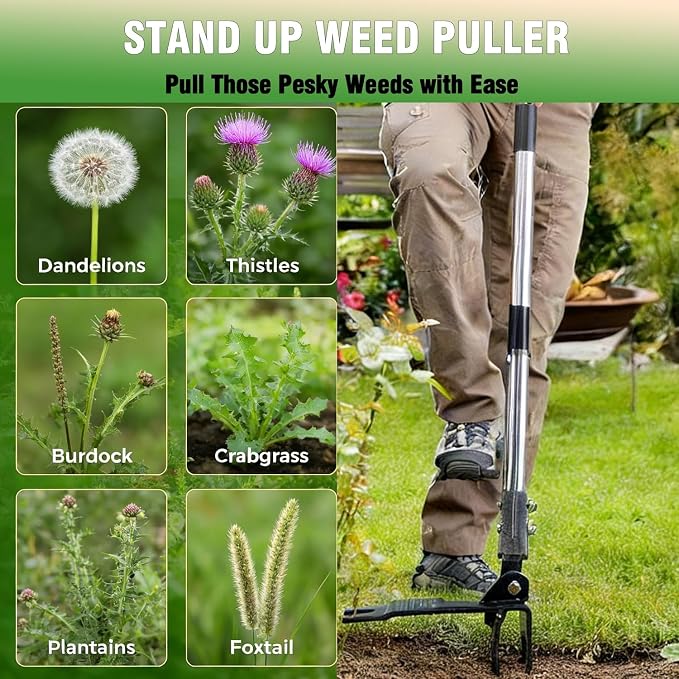 Weed Puller Tool, Heavy Duty Stand Up Weeder Tool with Long Stainless Steel Handle & 4-Claw Steel Head, Weeding Tool with Adjustable Handle, Easily Remove Weeds Without Bending, Pulling or Kneeling