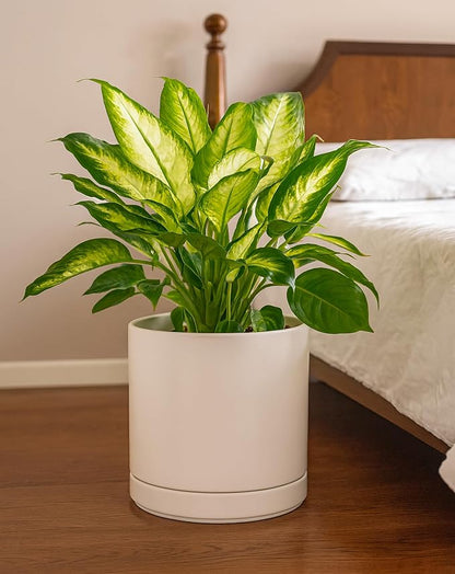 D'vine Dev 10 Inch Ceramic Planter Pot, Oatmeal, 94-O-E-8 | Modern Cylinder Design, Drainage Hole & Saucer Included, Stable Structure, Elegant Home Accent