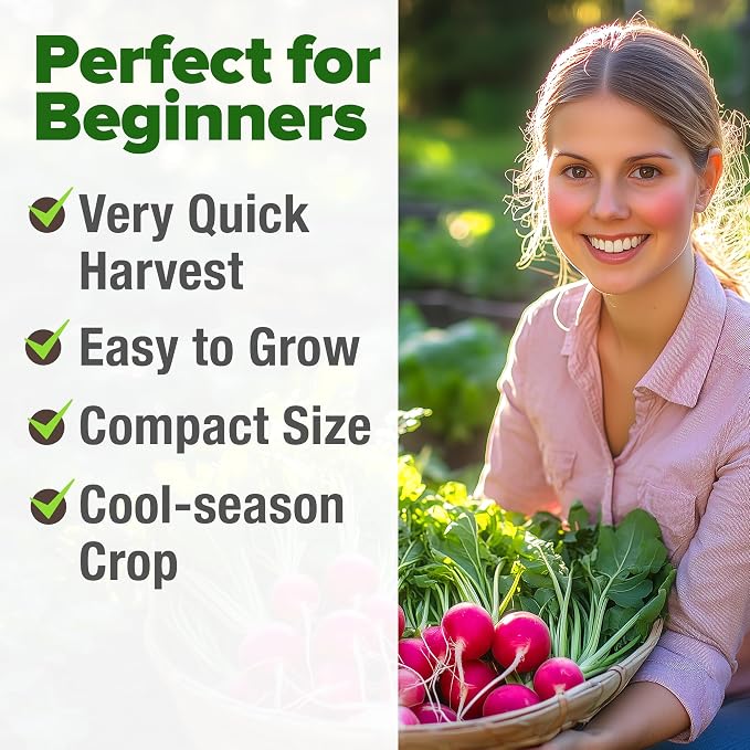 HOME GROWN Cherry Belle Radish Seeds 800+ Heirloom Non-GMO Seeds for Planting, High Germination, Fast Growing Red Radish, Harvest in 30 Days, Crisp & Mild Root Vegetable,Spring Fall (Raphanus sativus)