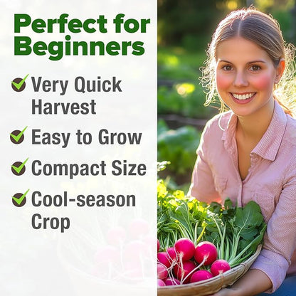 HOME GROWN Cherry Belle Radish Seeds 800+ Heirloom Non-GMO Seeds for Planting, High Germination, Fast Growing Red Radish, Harvest in 30 Days, Crisp & Mild Root Vegetable,Spring Fall (Raphanus sativus)